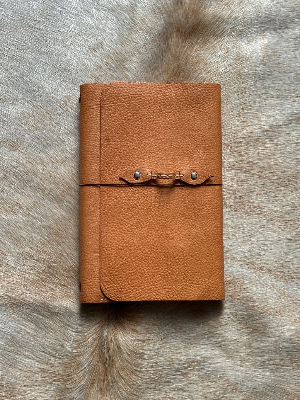 Leif Pen Journal