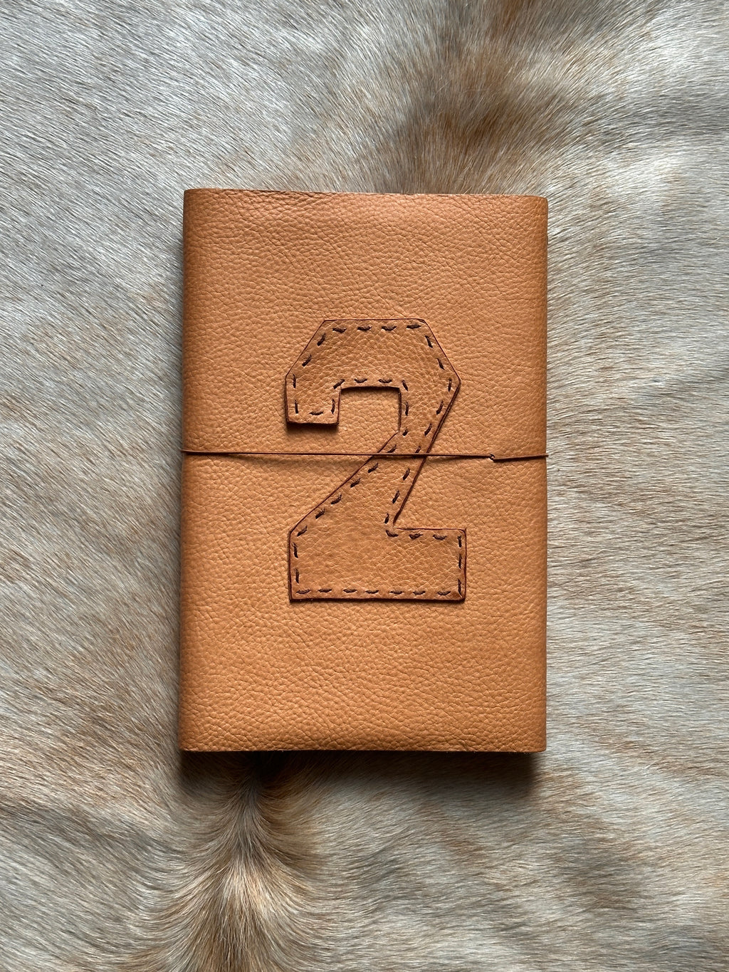 Leif Pen Journal